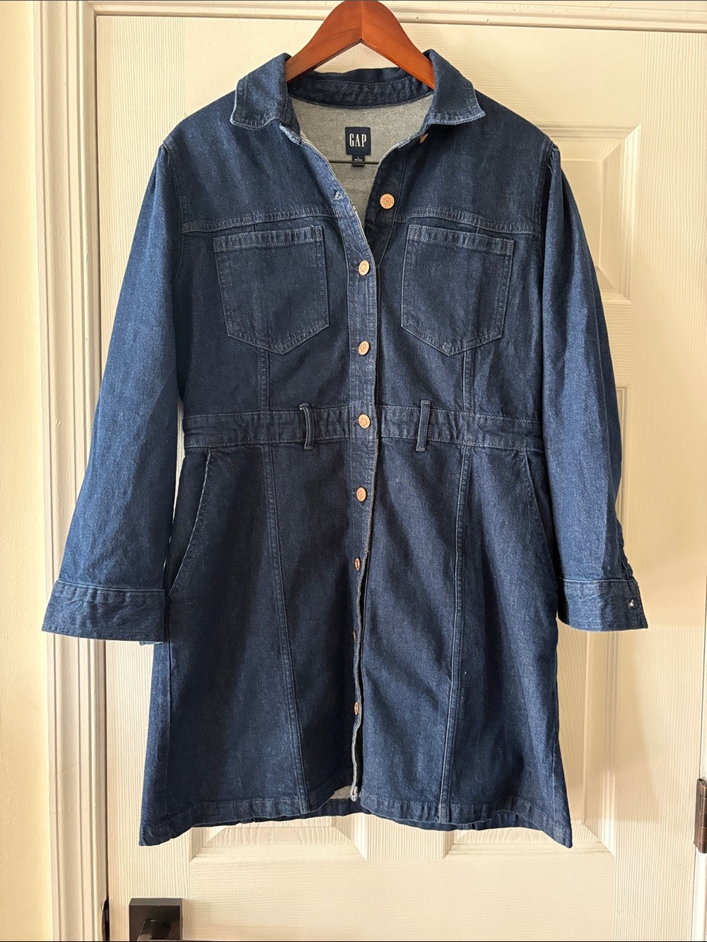 GAP Dark Indigo Denim Button-Front Dress